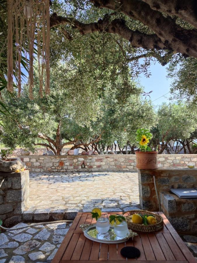 Ktima Zaxarias Hotel Kokkala Bagian luar foto