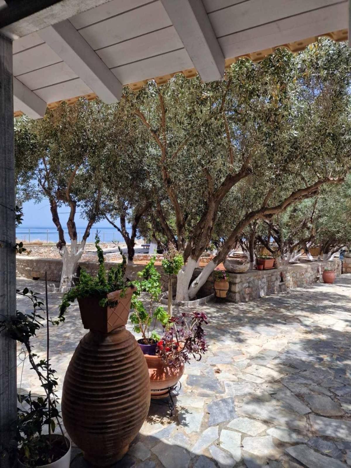Ktima Zaxarias Hotel Kokkala Bagian luar foto