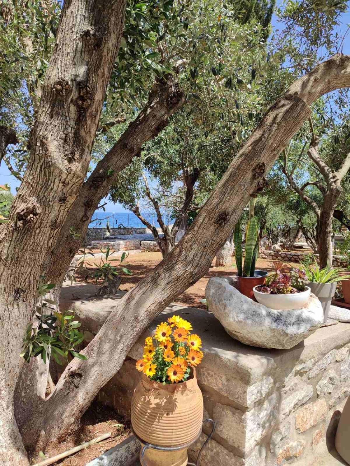 Ktima Zaxarias Hotel Kokkala Bagian luar foto